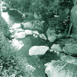 The Flume #1