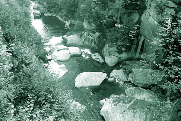 The Flume #1