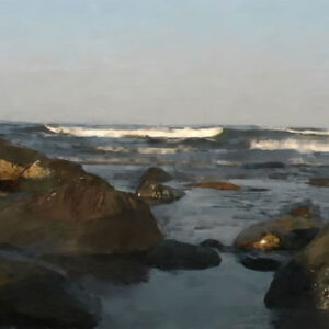 Plum Island #2