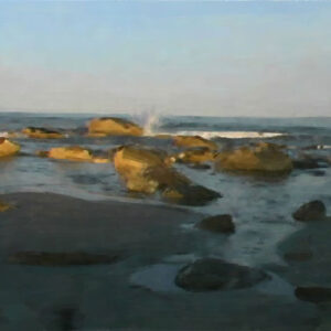 Plum Island #4